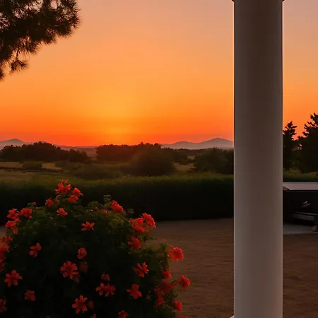 Sea & Olive Retreat * Ziparion