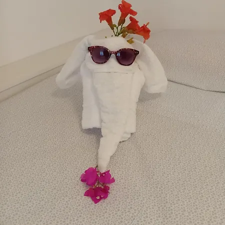 Sea & Olive Retreat アパート Zipárion