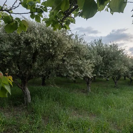 Sea & Olive Retreat Kos شقة