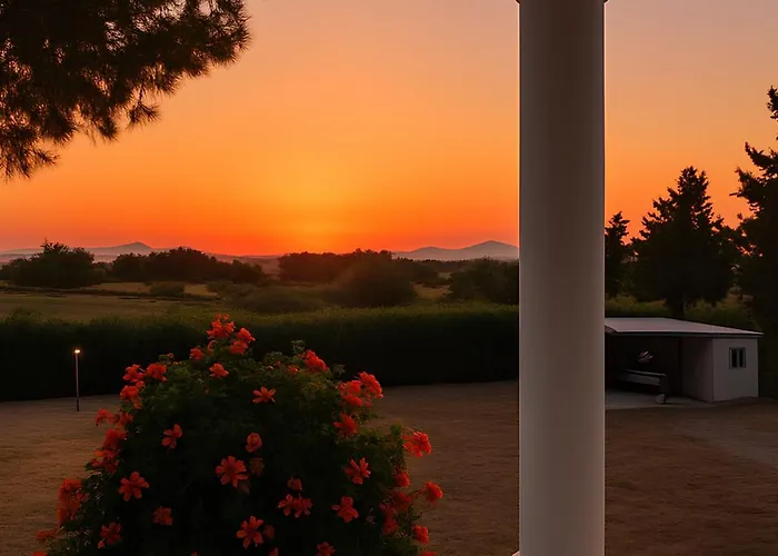 Sea & Olive Retreat * Zipárion